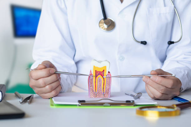 Best Urgent Dental Care for Toothache in Schlusser, PA